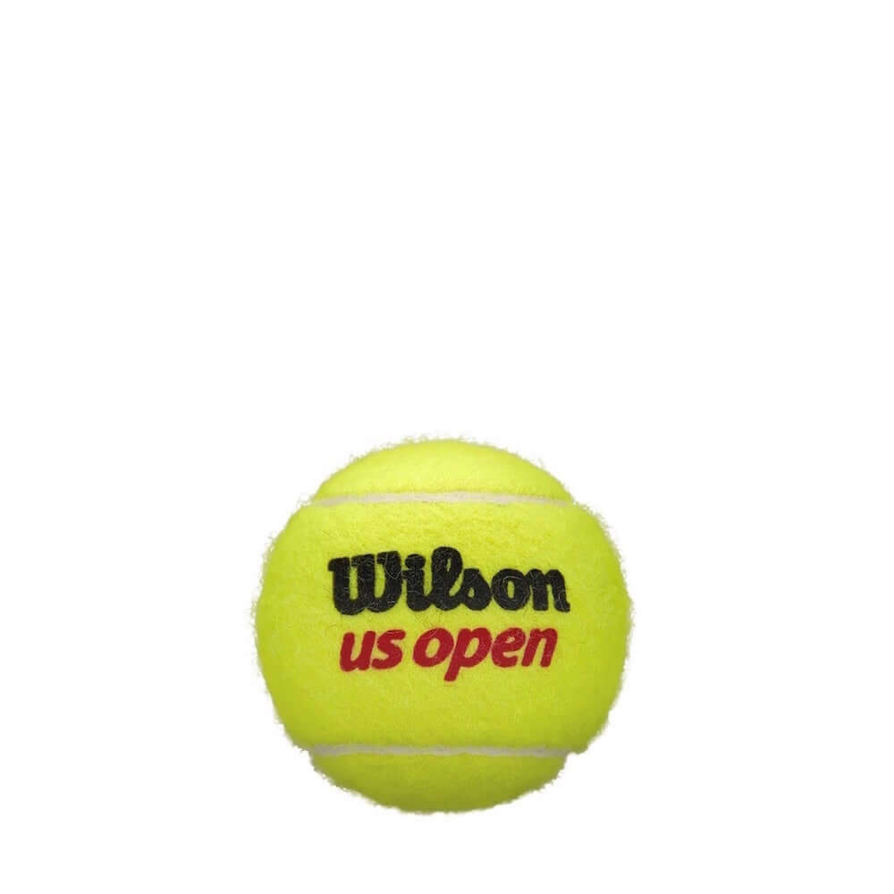 Wilson US Open Regular Duty Tennis Balls 24 Can Case