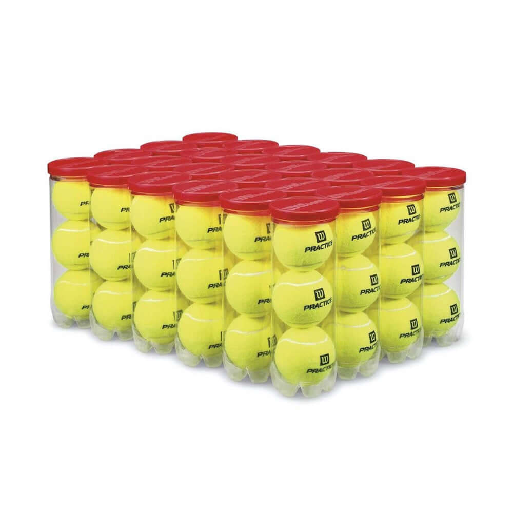 Wilson Practice Tennis Balls 24 Can Case