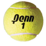 Penn Championship Extra Duty Tennis Balls 1 Can
