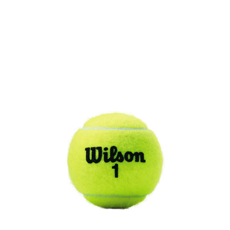 Wilson Championship Extra Duty Tennis Balls 1 Can