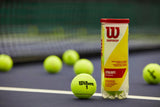 Wilson Championship Extra Duty Tennis Balls 1 Can