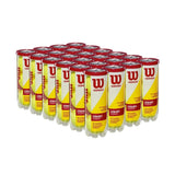 Wilson Championship Extra Duty Tennis Balls 24 Can Case