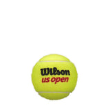 Wilson US Open Regular Duty Tennis Balls 1 Can