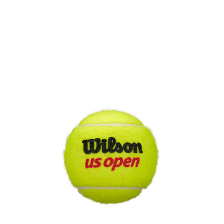 Wilson US Open High Altitude Tennis Balls 1 Can