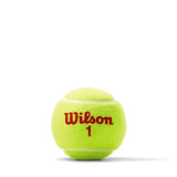 Wilson US Open Orange Tournament Transition Tennis Balls 24 Can Case