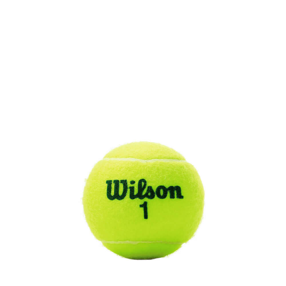 Wilson US Open Green Tournament Transition Tennis Balls 24 Can Case