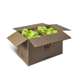 Wilson Triniti Tennis Balls 72 Ball Box