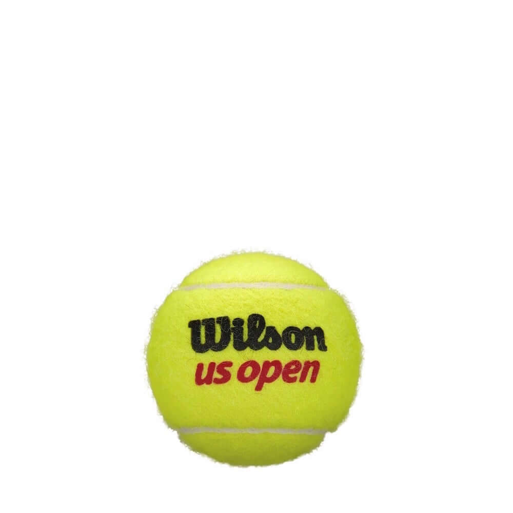 Wilson US Open Extra Duty Tennis Balls 1 Can