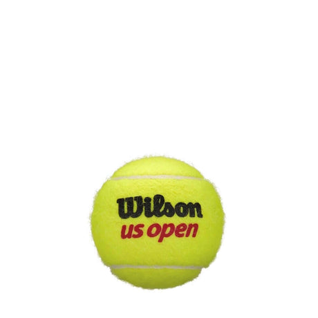 Wilson US Open Extra Duty Tennis Balls 1 Can