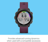 Garmin 010-02120-01 Forerunner 245, GPS Running Watch, Berry